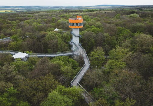 Baumkronenpfad von oben