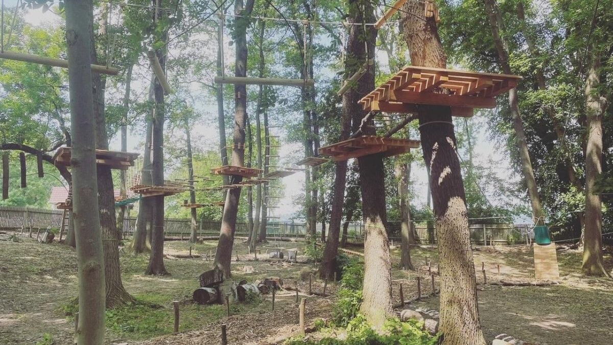 Kletterelemente im Kletterwald