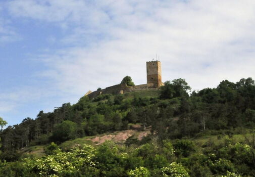 Burg Gleichen vom Tal aus - Wandersleben