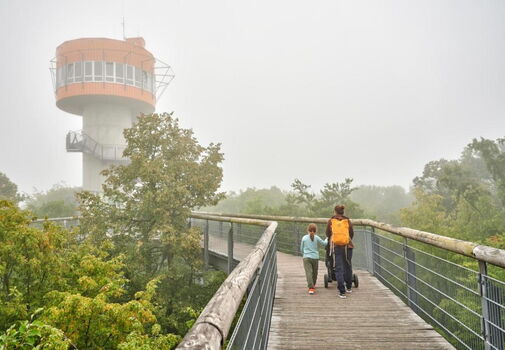 Familie auf dem Baumkronenpfad im Nationalpark Hainich im Nebel. Im Hintergrund der Aussichtsturm.
