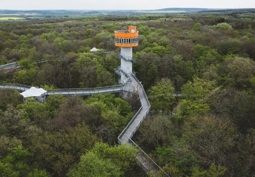 Baumkronenpfad von oben