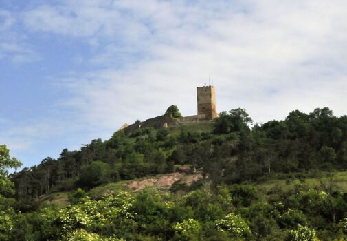 Burg Gleichen vom Tal aus - Wandersleben