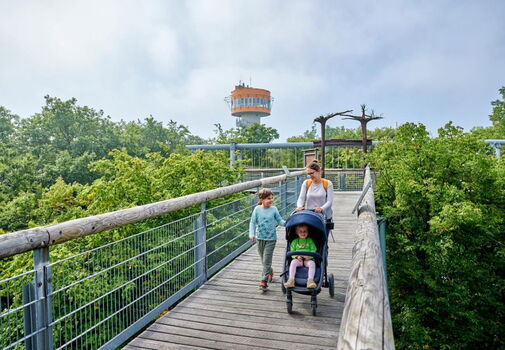 Familie mit Kinderwagen auf dem barrierefreien Baumkronenpfad im Nationalpark Hainich. Im Hintergrund der Aussichtsturm.