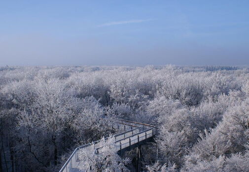 Der Blick vom Baumkronenpfad über den schneebedeckten Hainich.