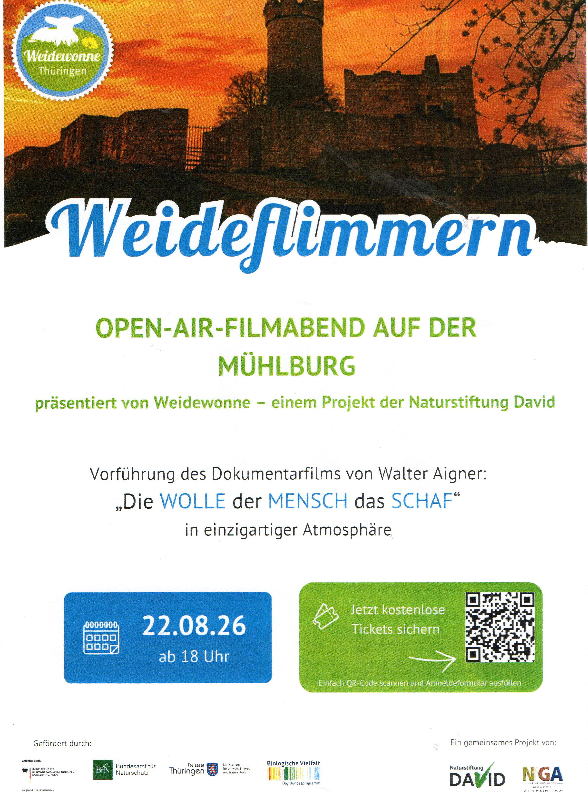 OPEN-AIR-Filmabend