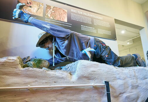 Ausstellung auf der Mühlburg