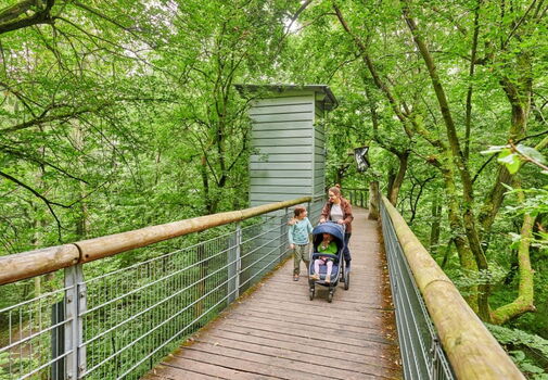 Familie mit Kinderwagen auf dem barrierefreien Baumkronenpfad im Nationalpark Hainich.