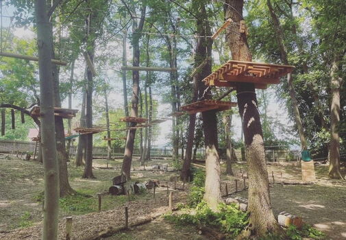 Kletterelemente im Kletterwald